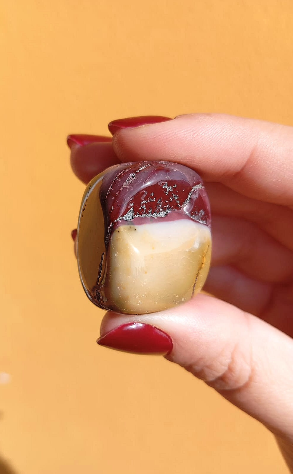 Mokaite (Forza Vitale e Scelte Consapevoli)