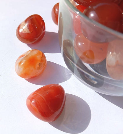 Corniola (Energia, Passione e Coraggio)
