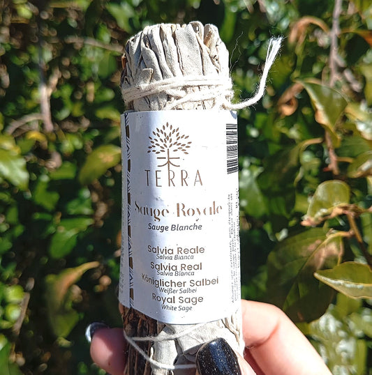 Salvia Bianca & Salvia Reale Terra