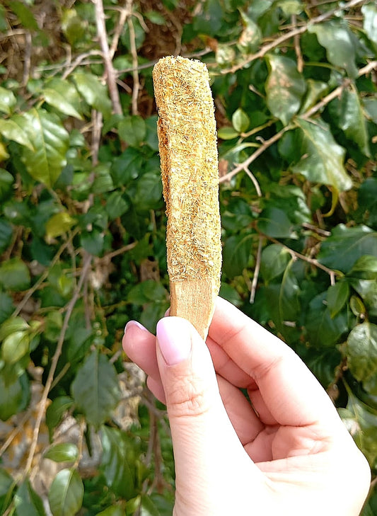 Palo Santo & Calendula
