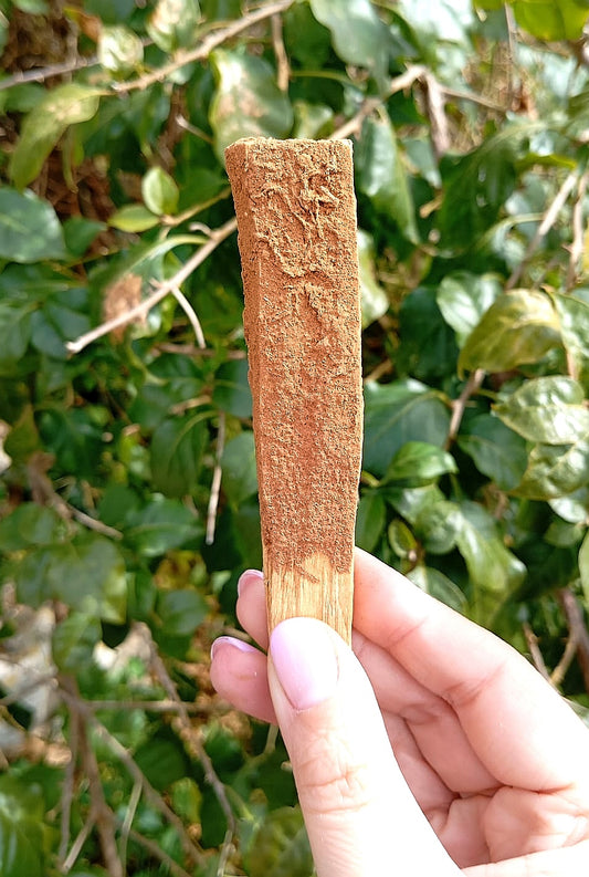 Palo Santo & Cannella