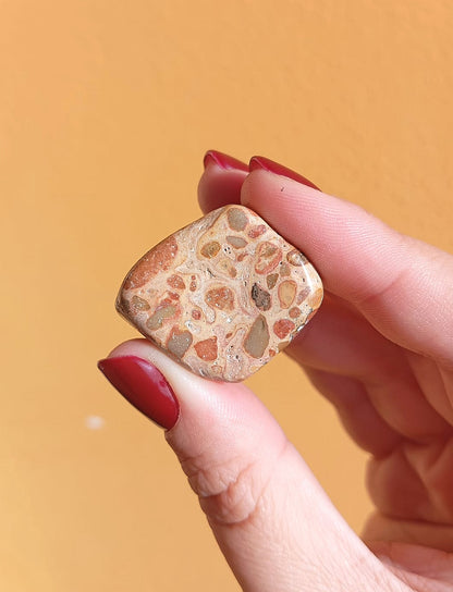 Diaspro Leopardo (Connessione e Protezione Spirituale)