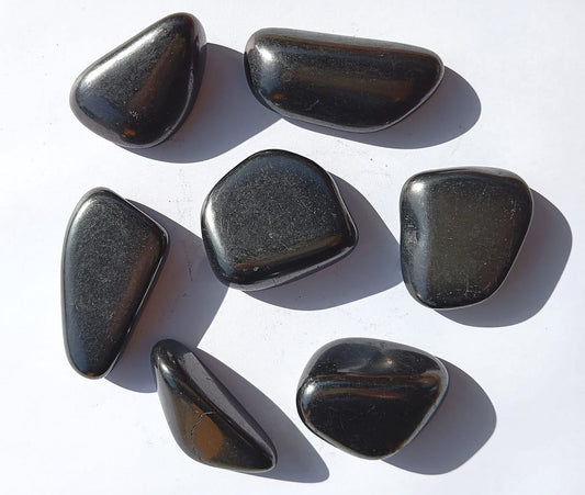 Shungite (Purificazione e Protezione Totale)