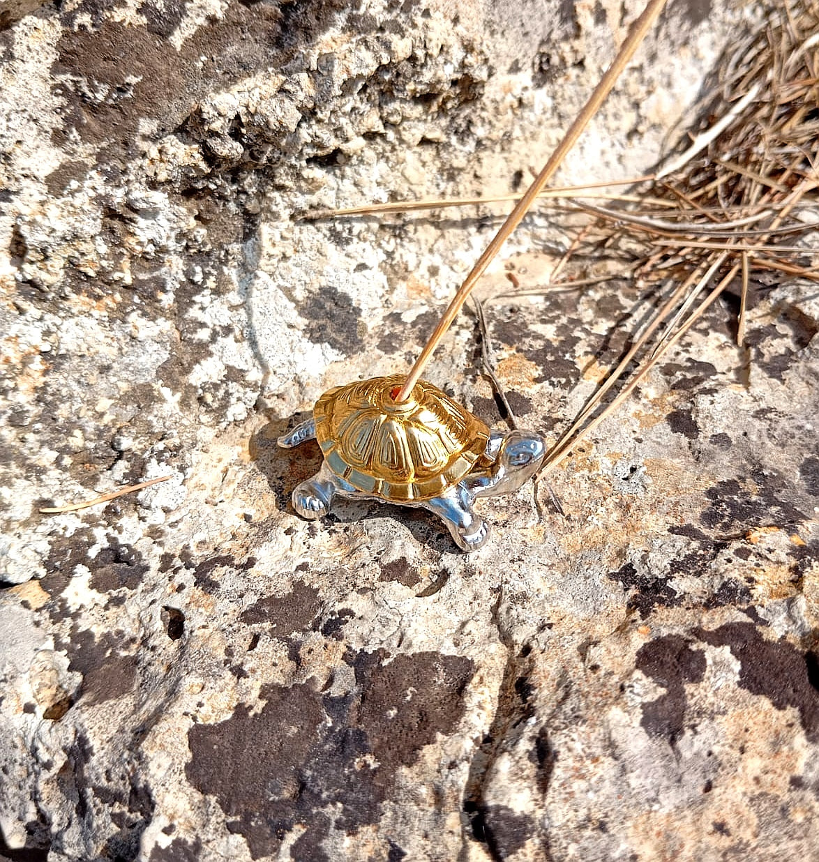 Portaincenso Tartarughina Oro Argento